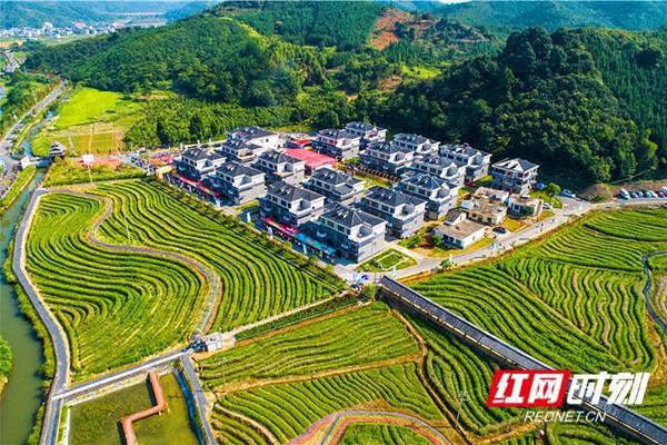 9e3df8dcd100baa1023faa108a2ce917c9fc2ec8.jpeg 9e3df8dcd100baa1023faa108a2ce917c9fc2ec8.jpeg